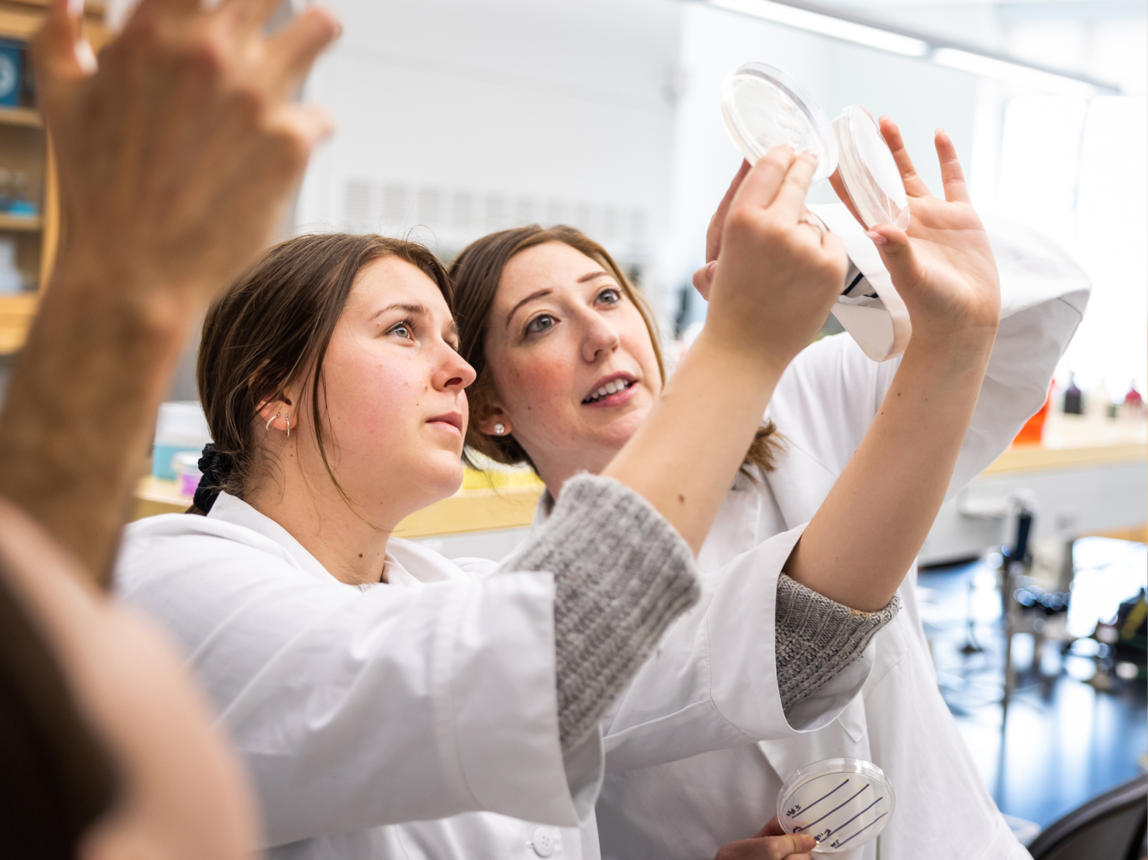 Two students looking at sample specimen