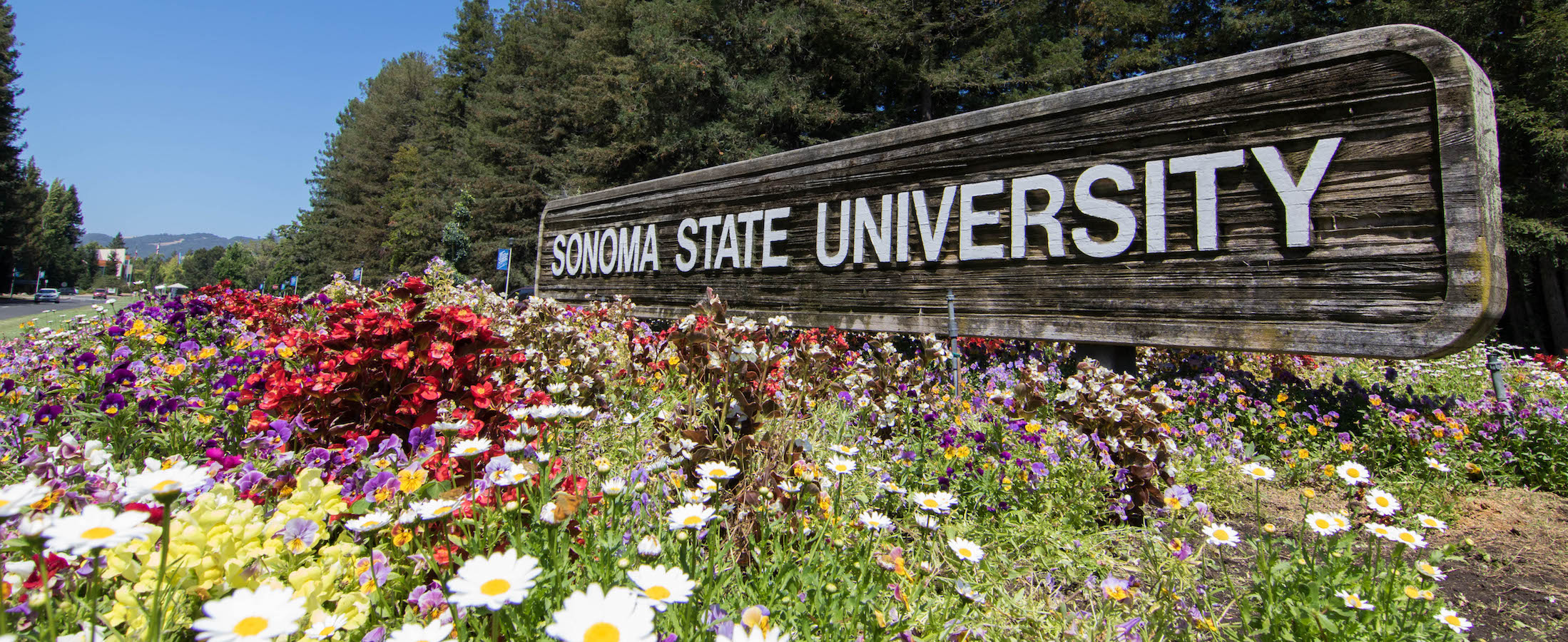 Sonoma Entrance Sign