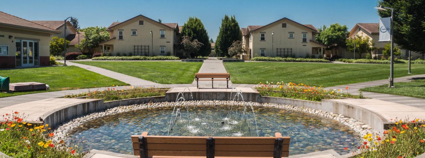 Bench in front of campus water fountain with residential housing in the background