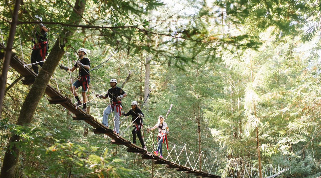 rope course in the redwoods