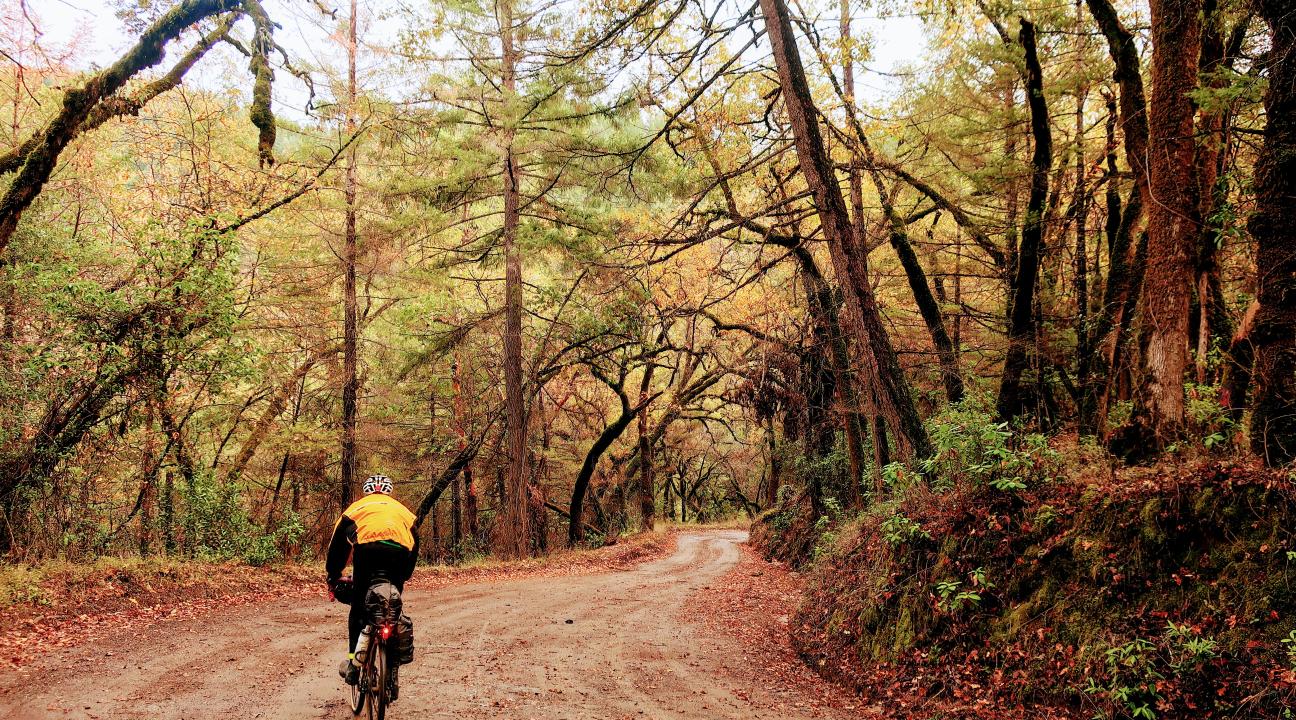 bike ride in howard park