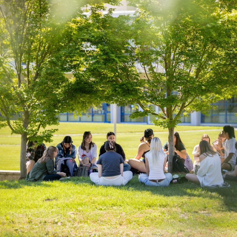 Group of students outside having class wit ha professor