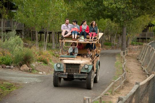 group at safari west