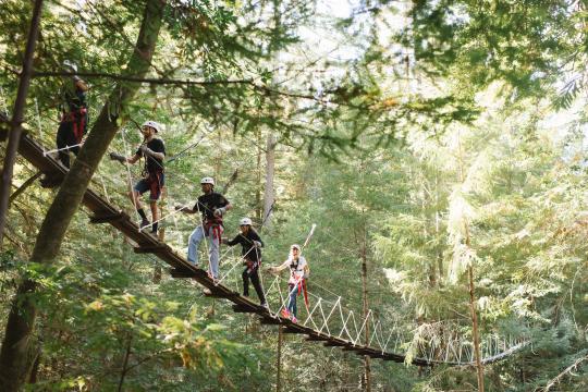 rope course in the redwoods