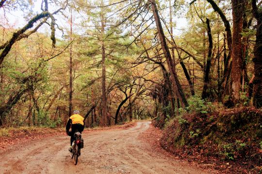 bike ride in howard park