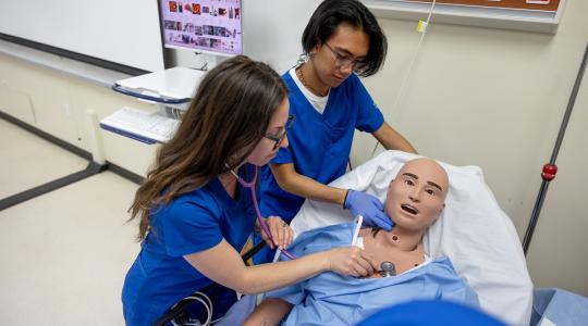 Two students in a nursing lab checking the pulse of a patient