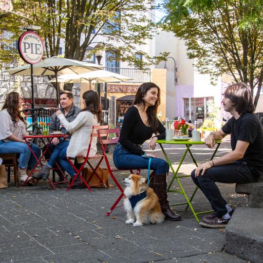 people in petaluma having dinner
