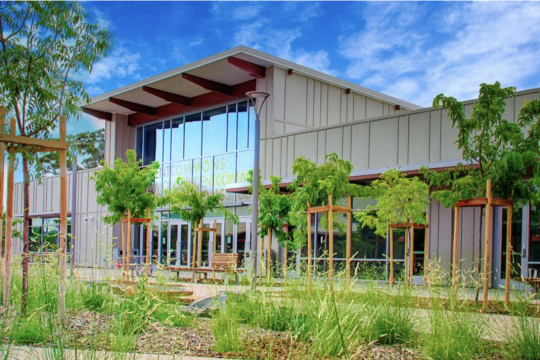 Los Medanos College
