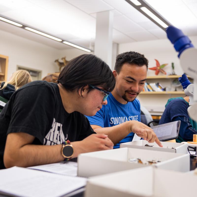 Biology students working together in class