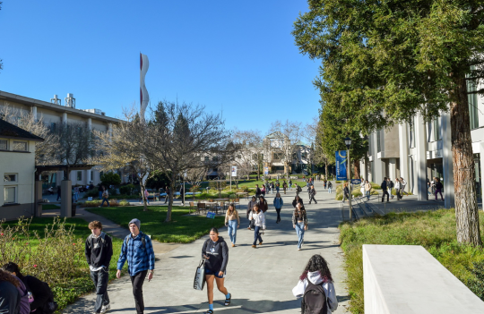 Students walking through a campus quad